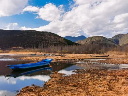 Casilando Casino Mobiele App